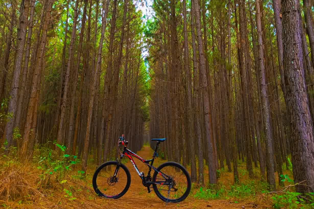 Forest Biking Gulu