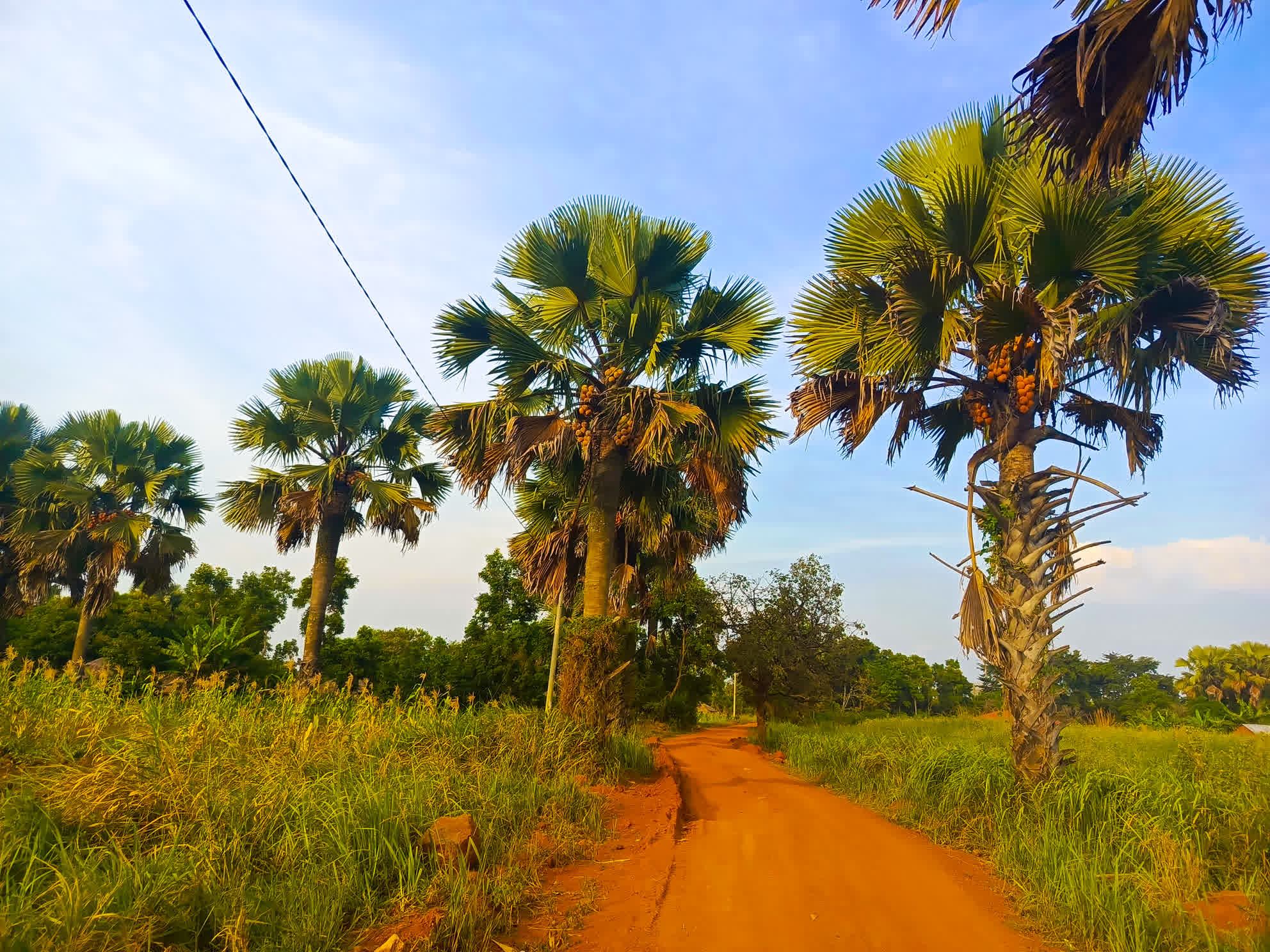 Patiko Village Cycling in Gulu