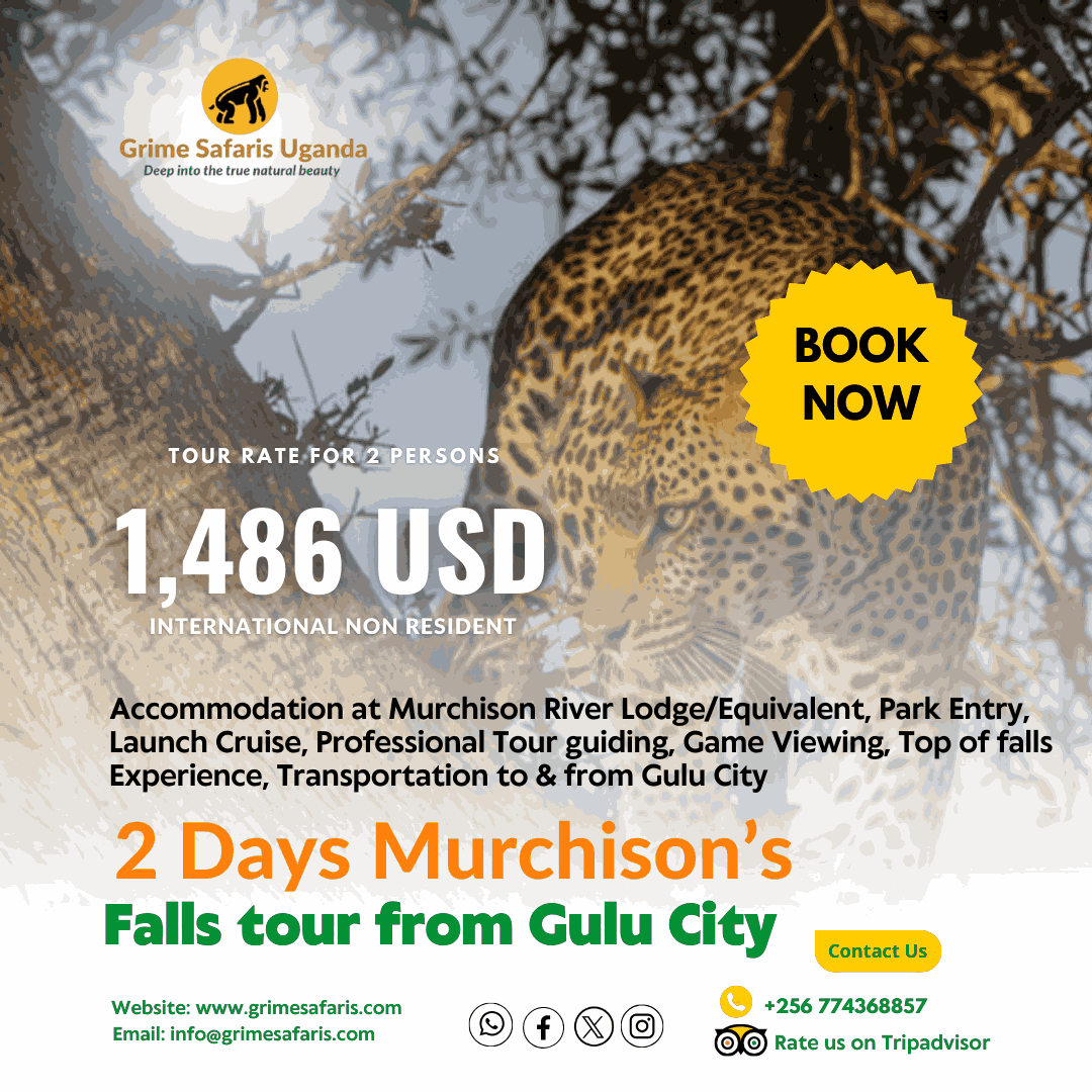 2 Days Murchison Group tour from Gulu City