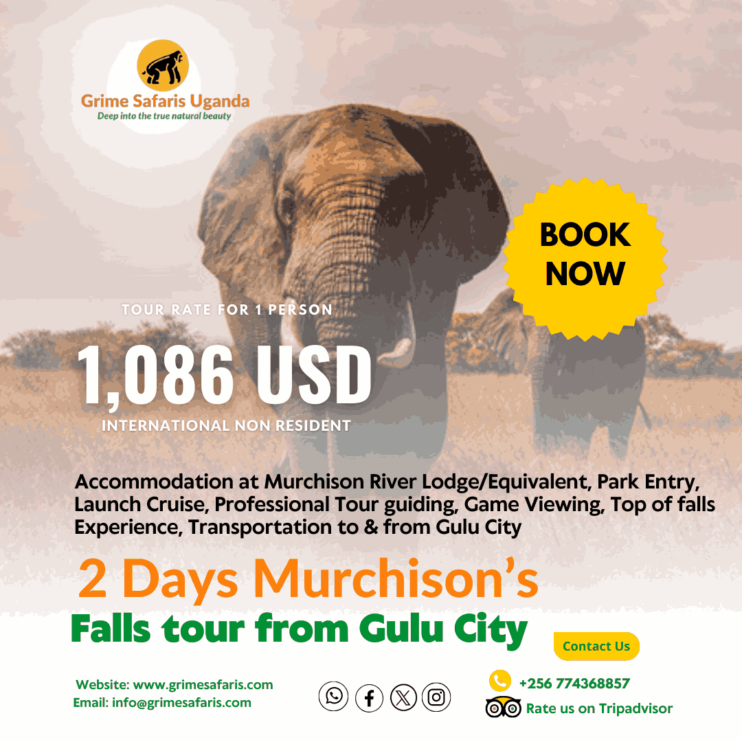 2 Days Murchison tour from Gulu City