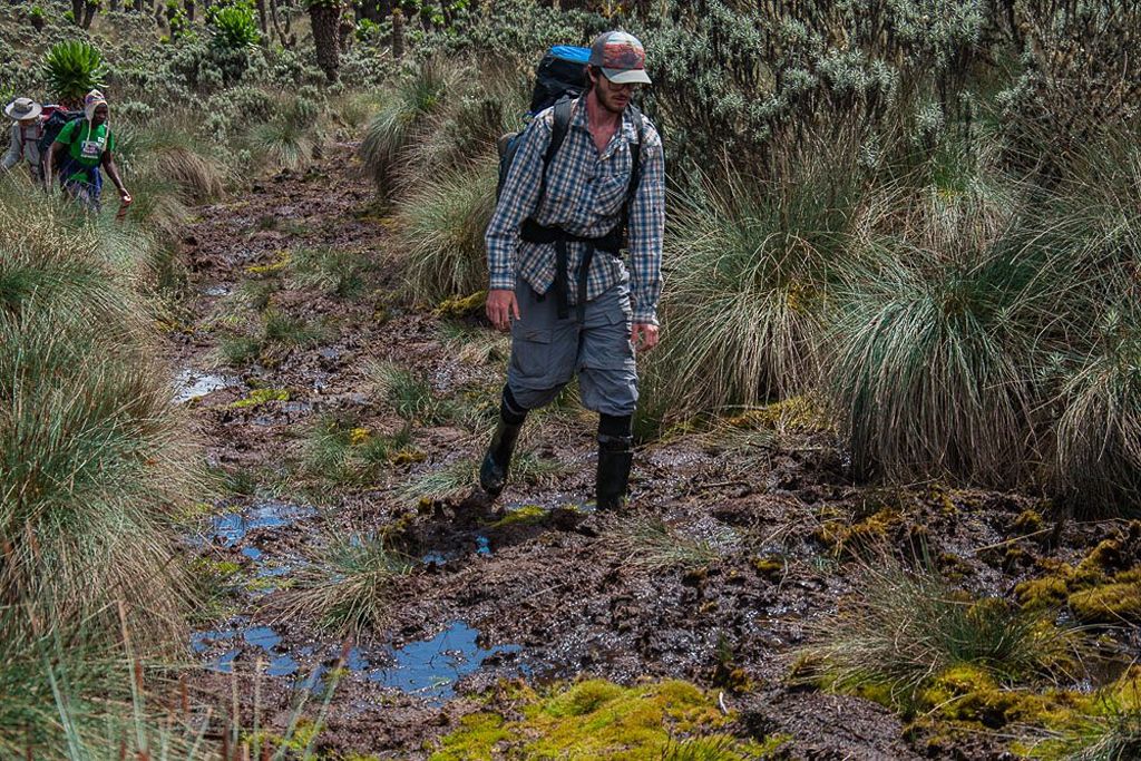 Rwenzori Hikes