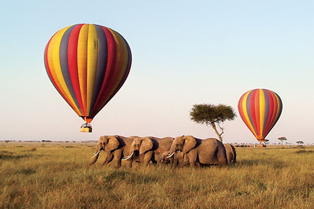 Hot air balloon safari