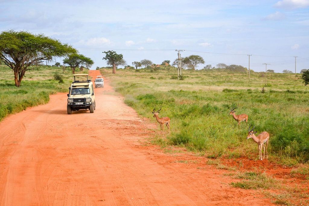 Tanzania-Safari-with-Grime-Safaris-Uganda_11zon