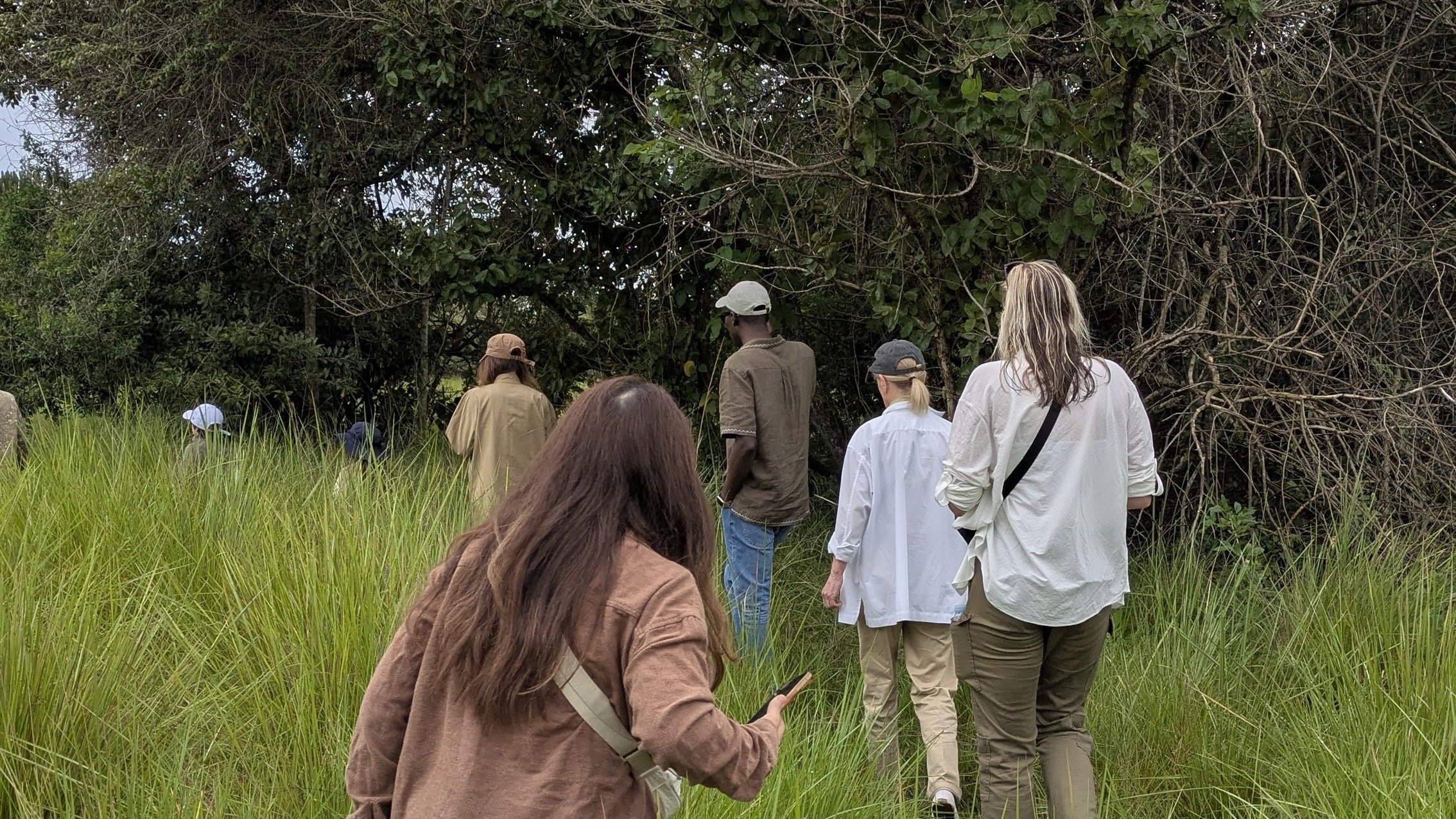 Rhino Tracking at Ziwa Rhino Tracking -Grime Safaris