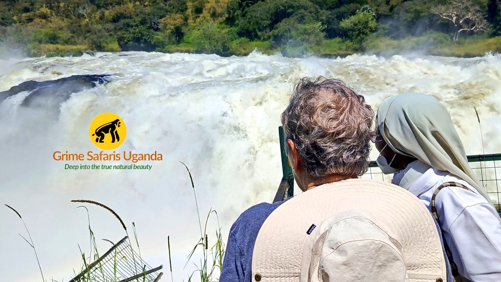 Top of Murchison falls