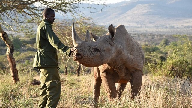 Uganda Rhino Tracking