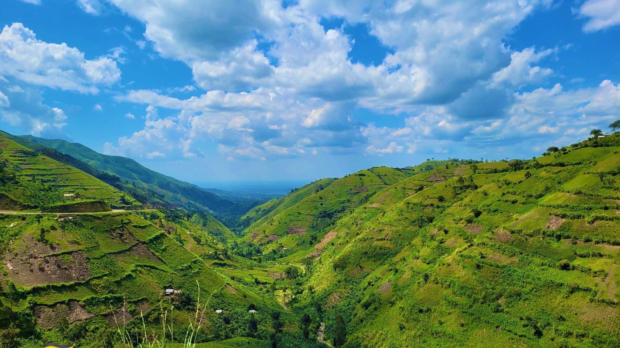 Uganda tours -Grime Safaris