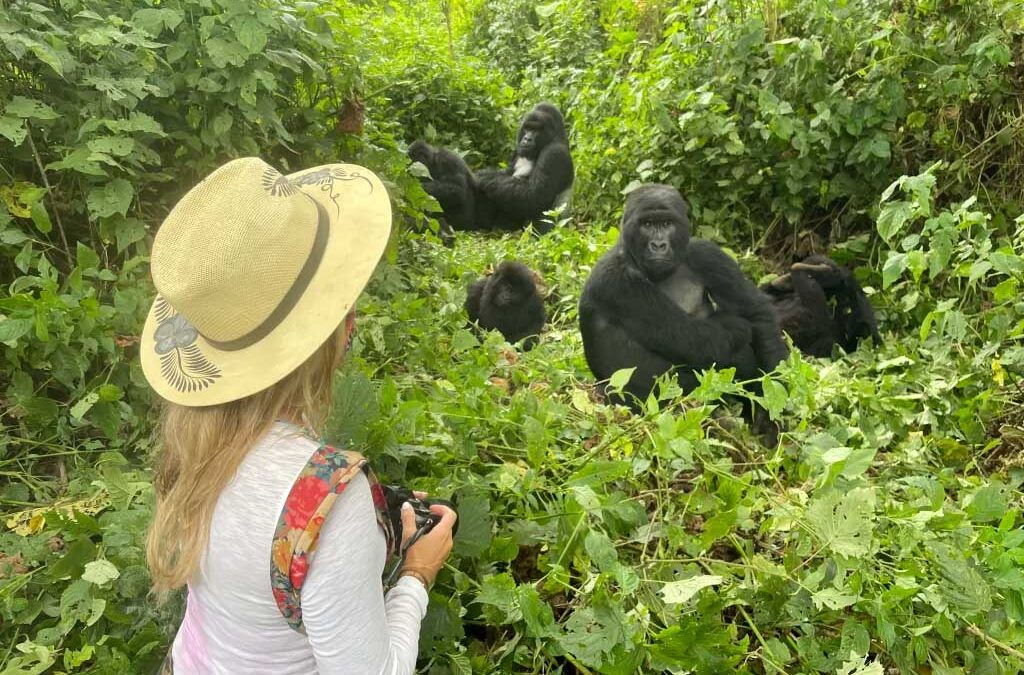 Gorilla Trekking
