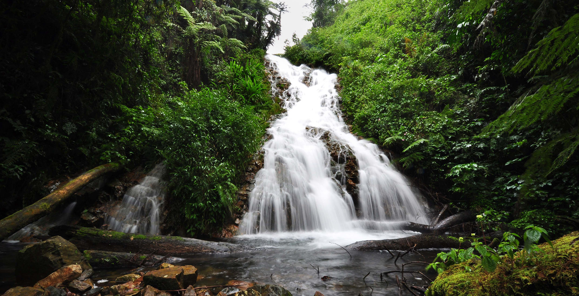 Africa; Uganda; Sanctuary Gorilla Forest Camp